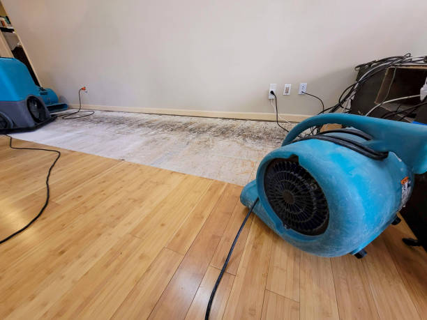 Reliable Basement Flood Cleanup contractor in Waller, TX by Hirex Water Damage