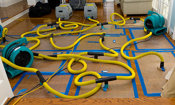 Professional Basement Flood Cleanup technician working in Waller, TX
